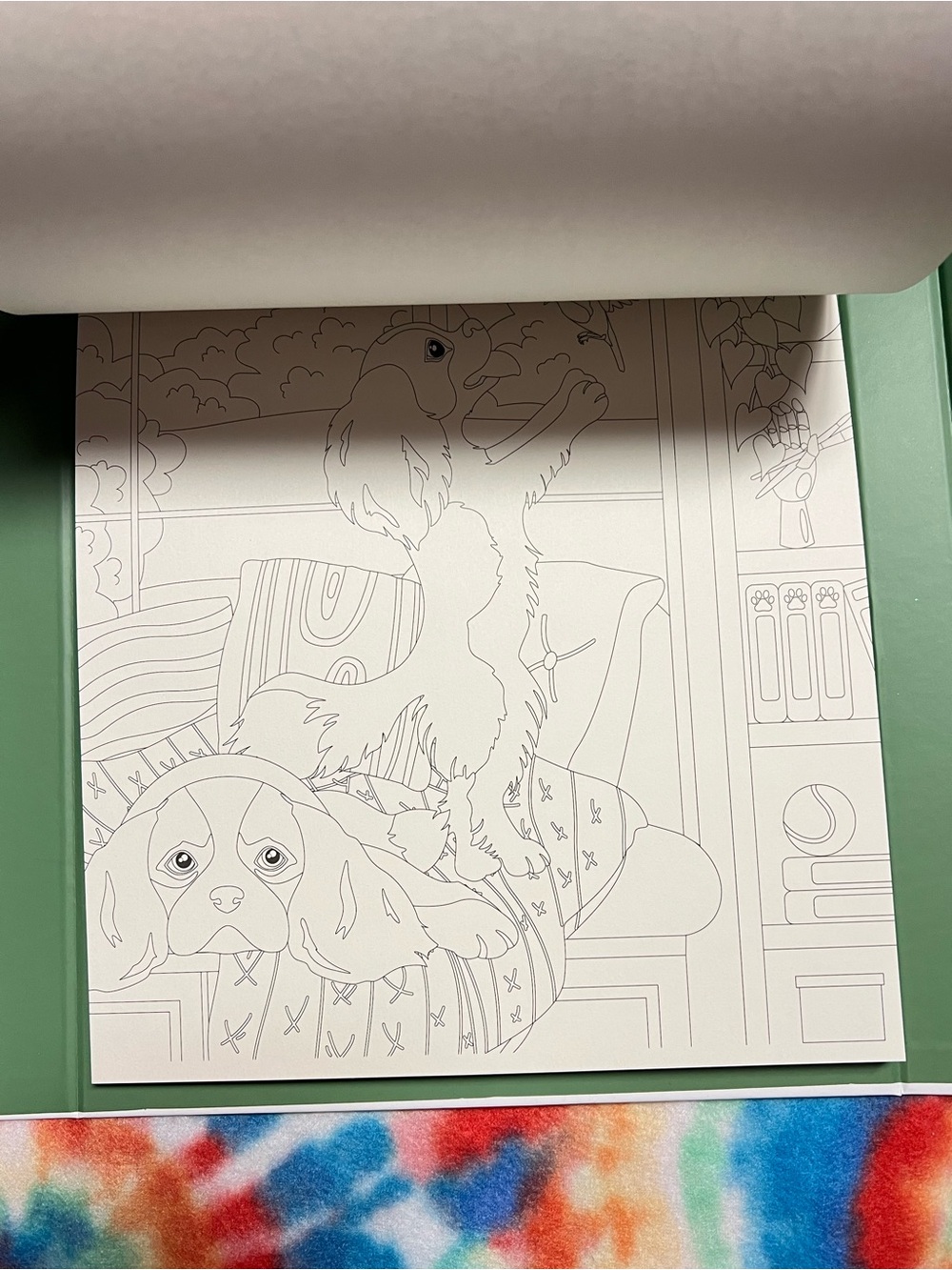 Pets in Color Creative Coloring Kit - Multicolor - Picture 5 of 12